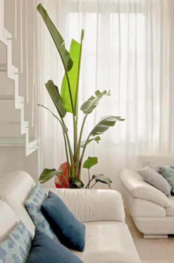 Amazing Sea View Flat Tirrenia Exterior foto
