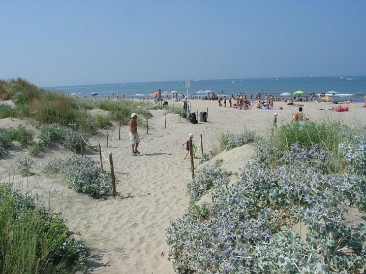 Amazing Sea View Flat Tirrenia Exterior foto