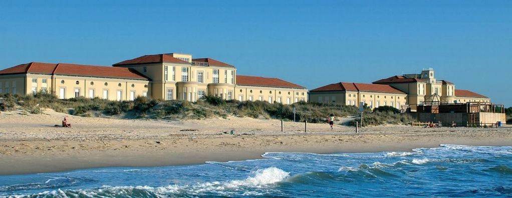 Amazing Sea View Flat Tirrenia Exterior foto